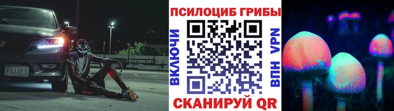 Купить где  Ртищево  Псилоцибиновые грибы Psilocybine cubensis 